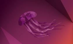 Featured image of post Still Rocking Ubuntu 22.04 Jammy Jellyfish in 2025